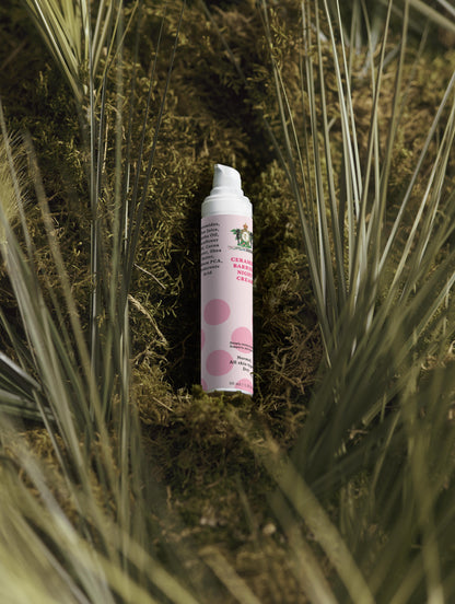 Night Repair Cream